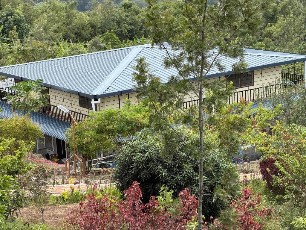Sara Vintage Guest House Hillside Sanctuary